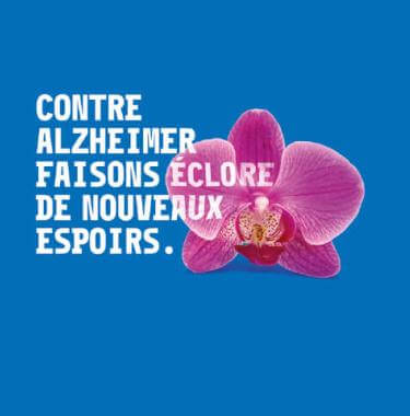Une orchidée pour la mémoire