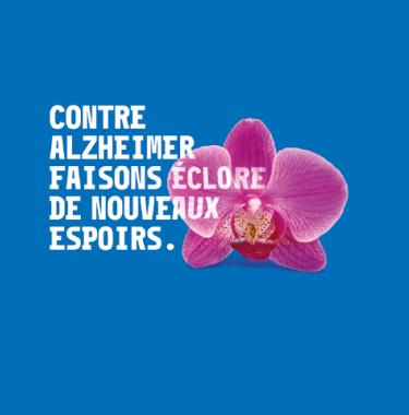 Une orchidée pour la mémoire