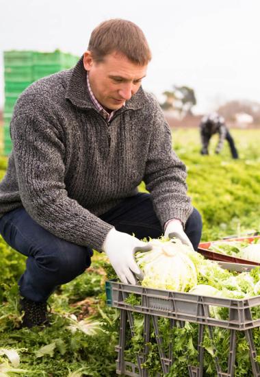La transition, ça s’accompagne
